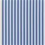 berkeley stripe - cobalt