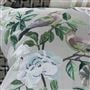 Miraflores Cameo Cotton Decorative Pillow