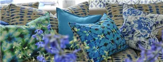 Blue Cushions